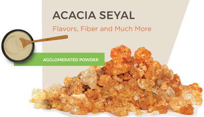 Agglomerated Acacia Seyal (300 g sample)