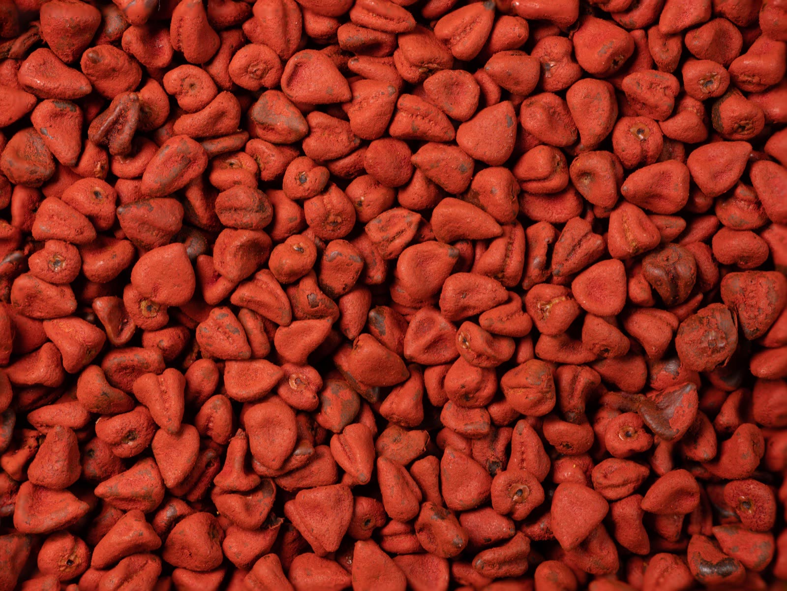 Annatto seeds filling the frame, red-orange and pebble shaped