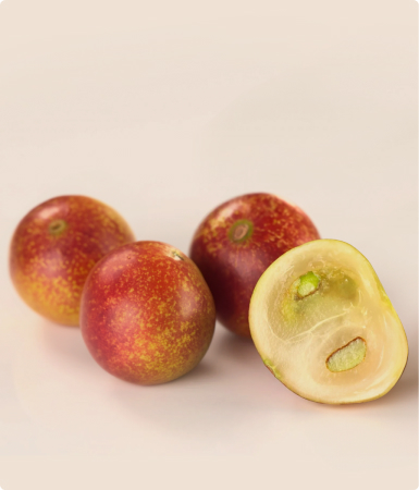 Camu camu fruit