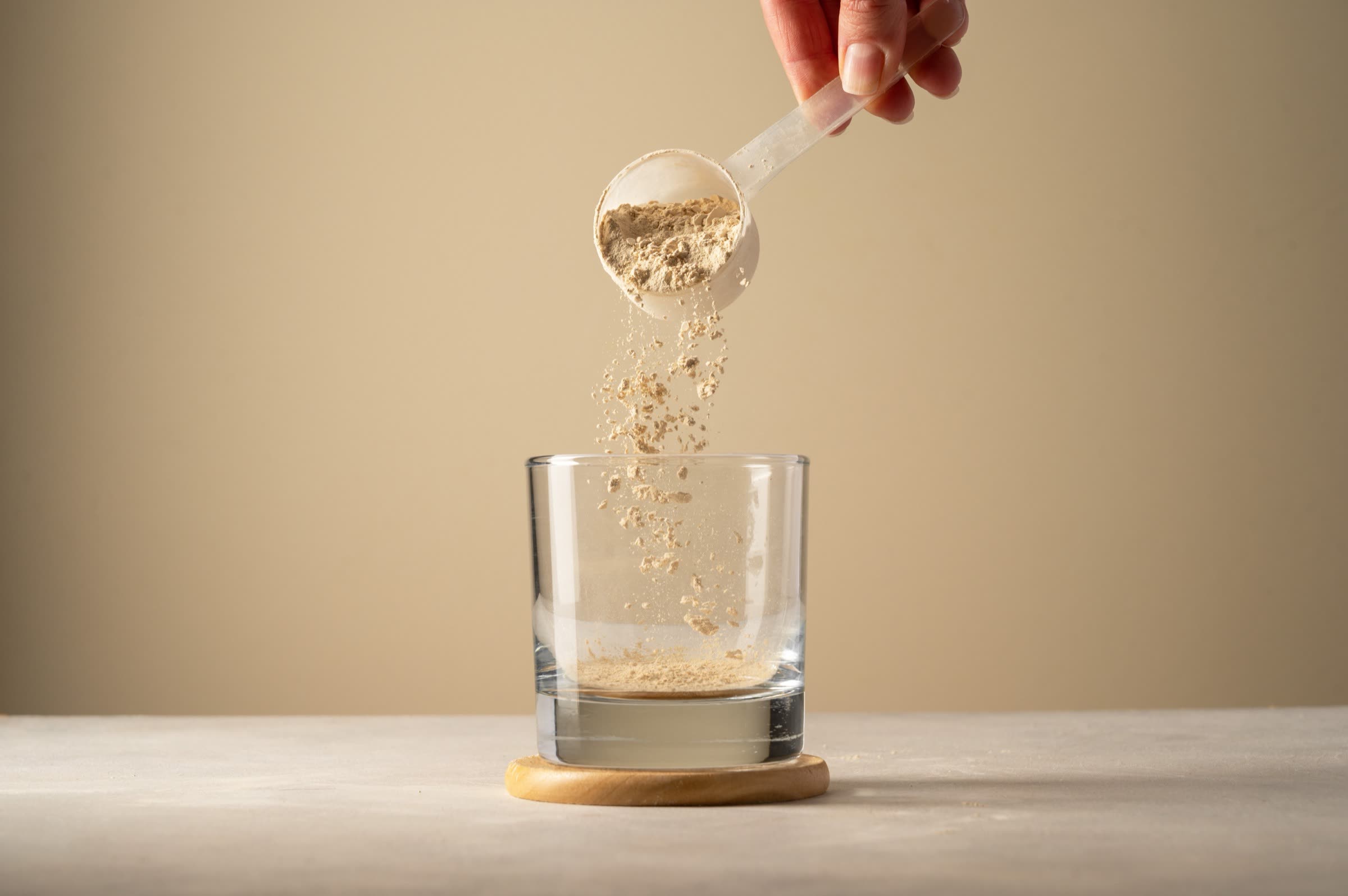 Spray-dried ingredient powder
